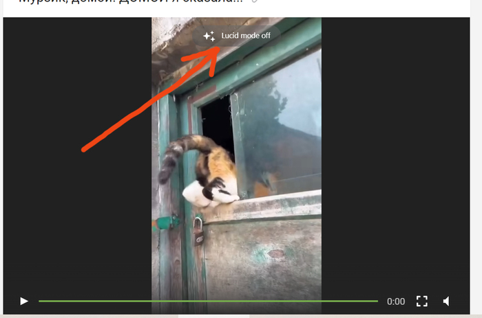 ��������!