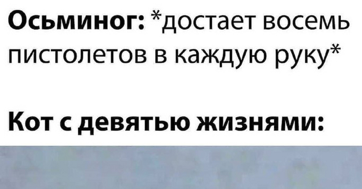 Осьминог vs кот | Пикабу