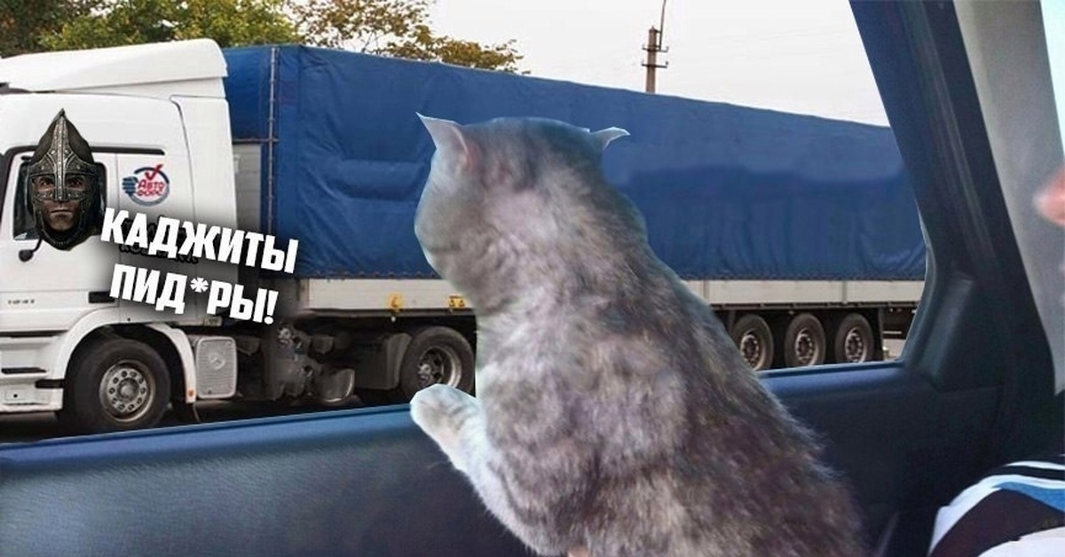 В погоню)) | Пикабу