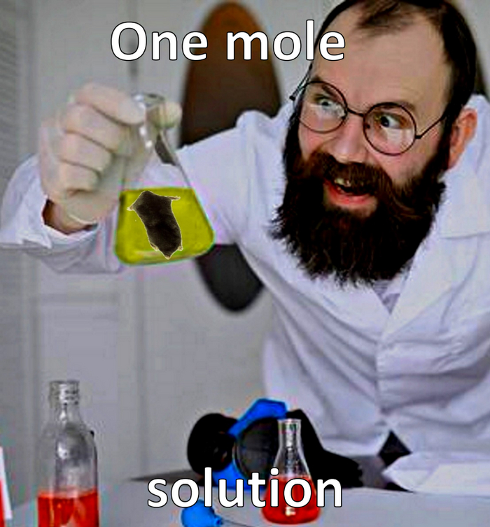 One mole solution