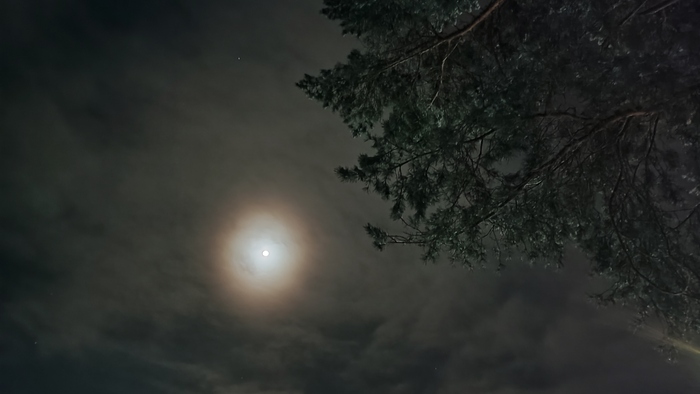 Черт и несравненная Солоха Николай Гоголь, Ночь перед Рождеством, Черт, Мороз, Длиннопост, Мобильная фотография