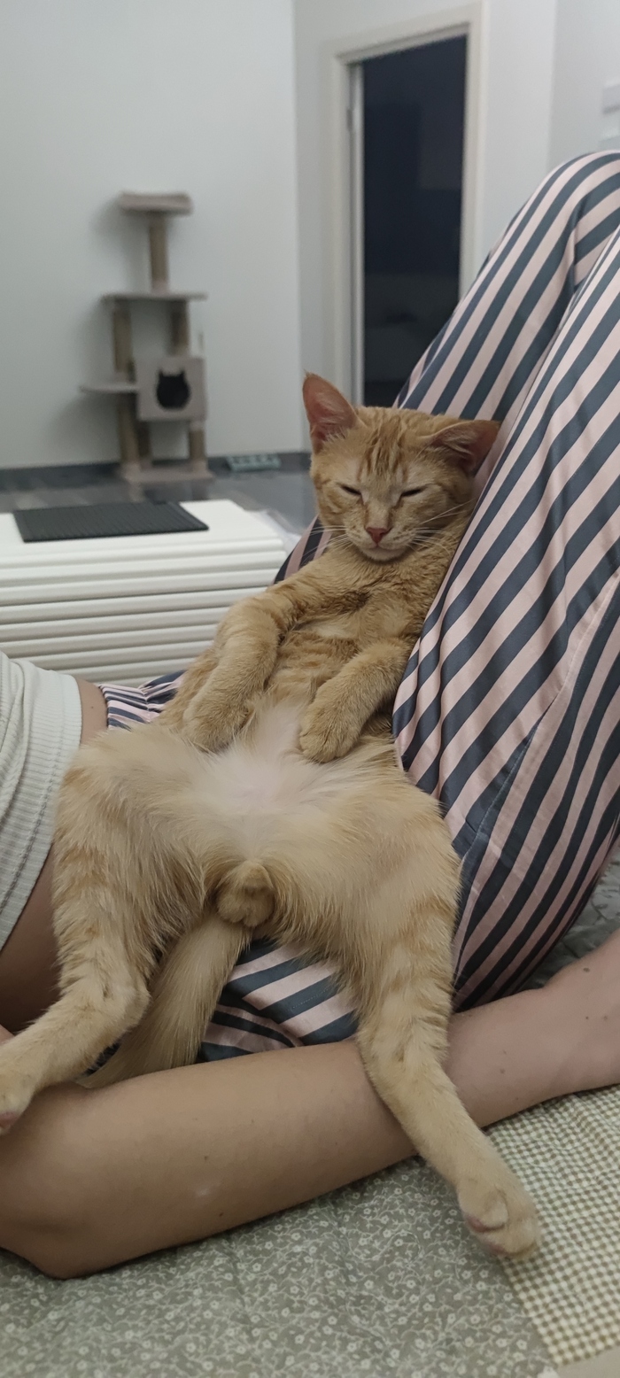 ����� �������!