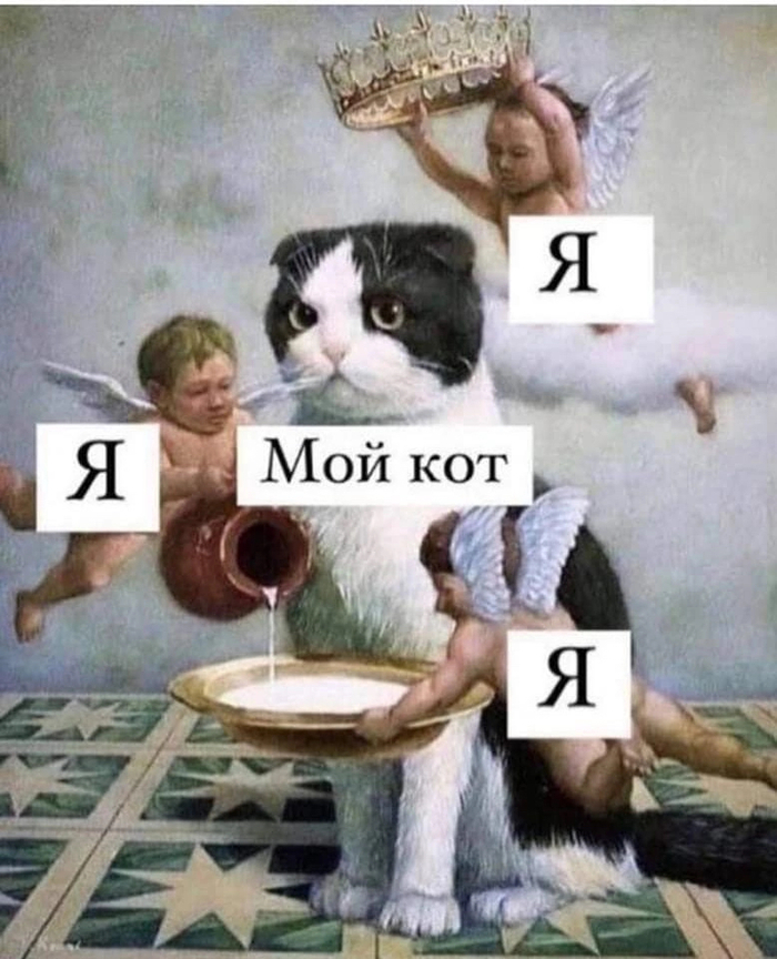 Я: Зачем я живу, в чём смысл жизни? Мой кот: Я там насрал, пойди, убери!