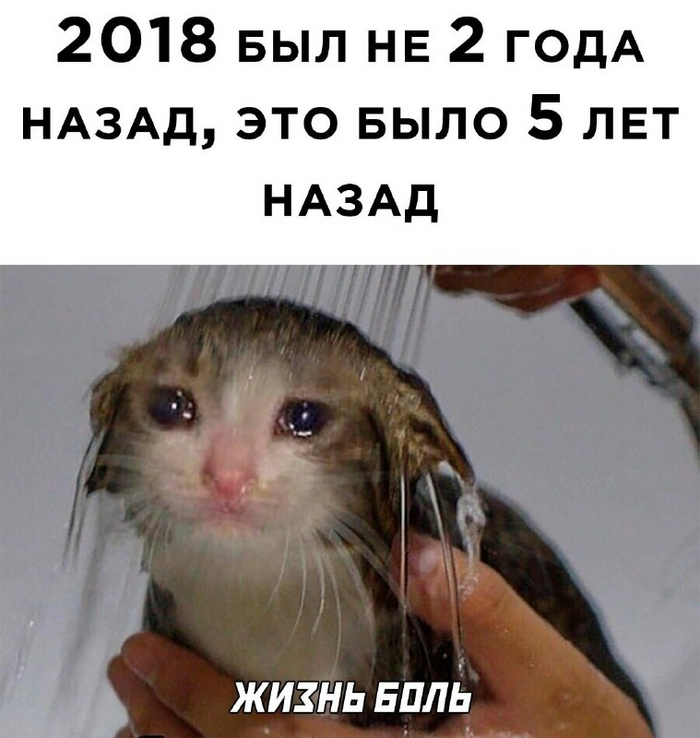   ? ,   , 
