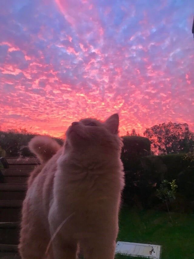      , , 