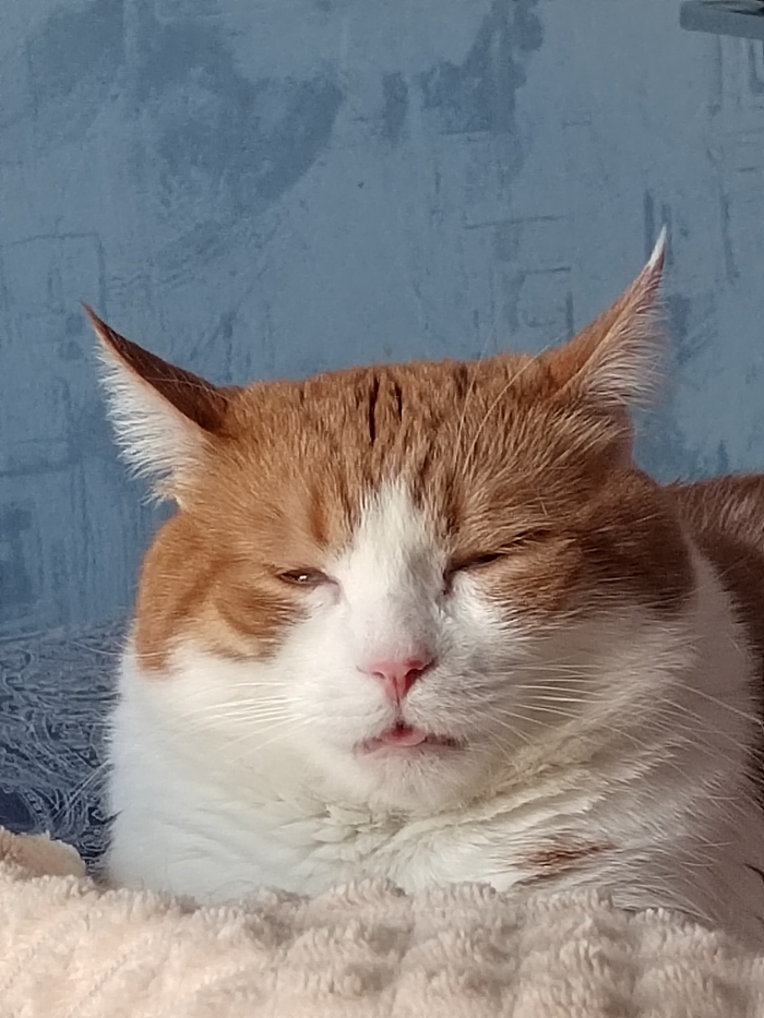 6 ���� ��������