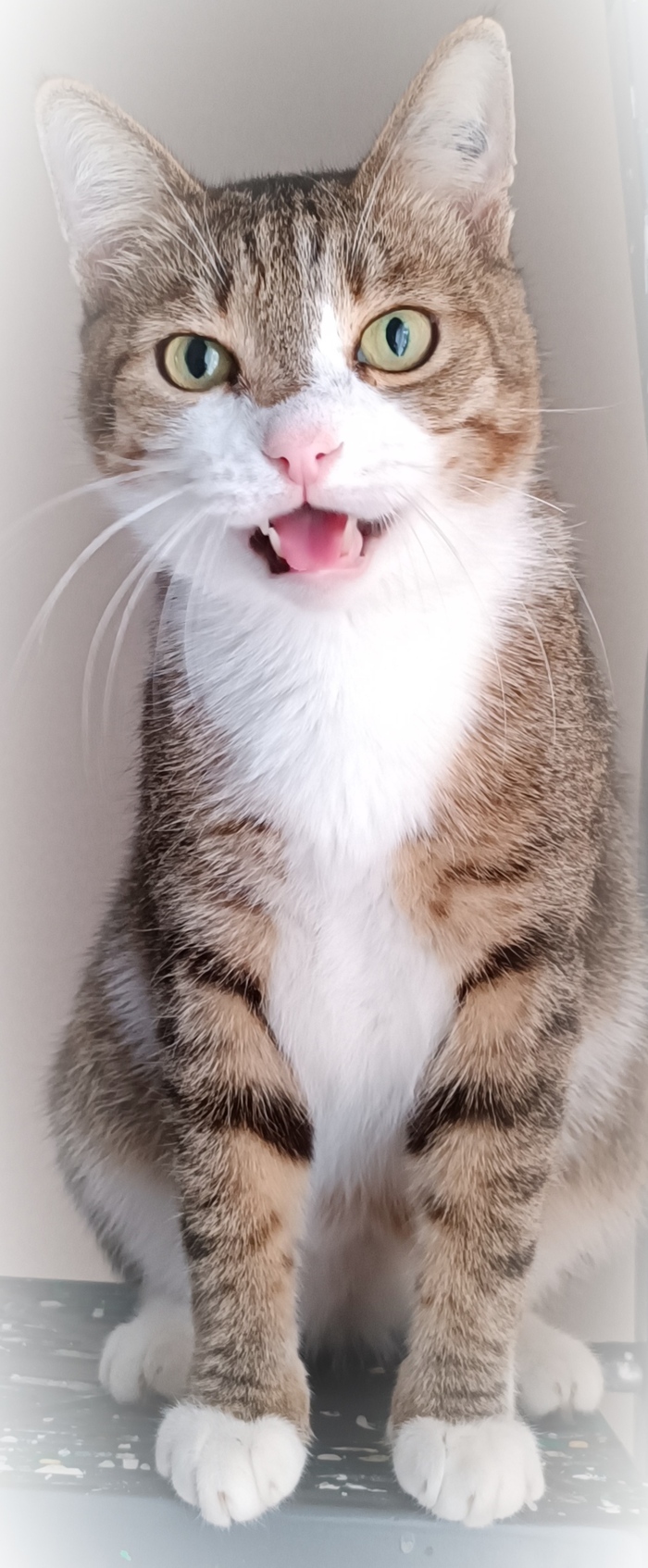  ,   , 