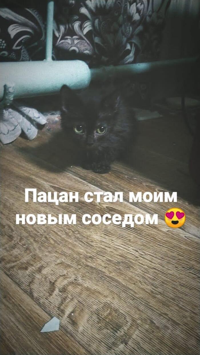   , , 