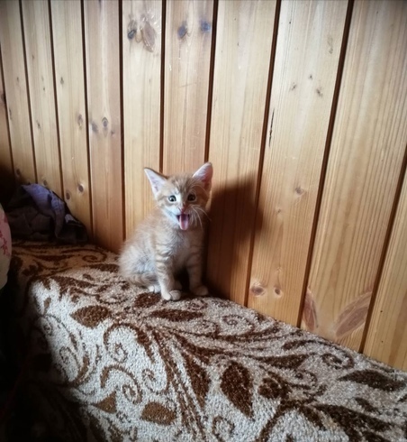 ����� �������, ��� ��� �������, � � ����������� ����� �� ������