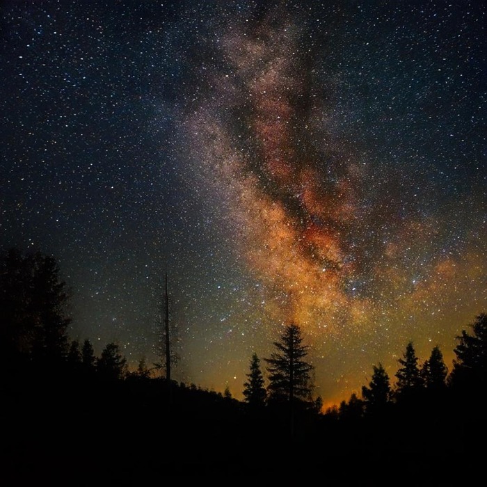 Тихая ночь над лесом