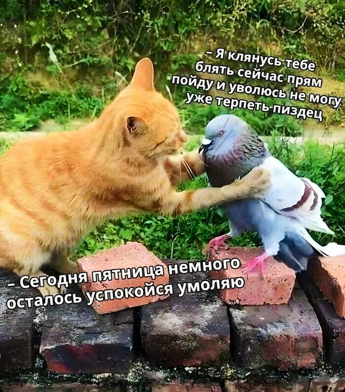 Посвящается тем, кто работает в праздники