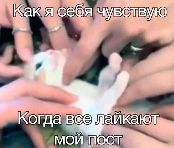 Какой же каеееф