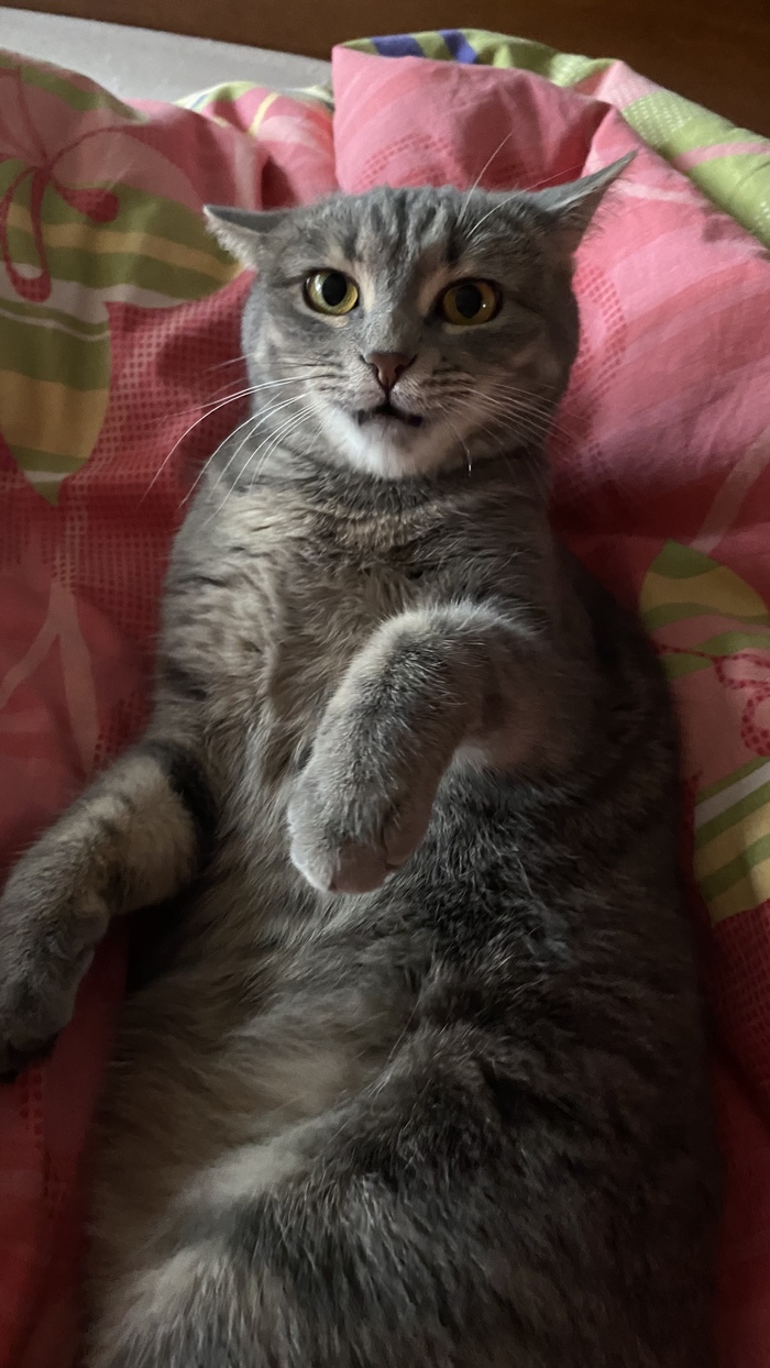   , , , 