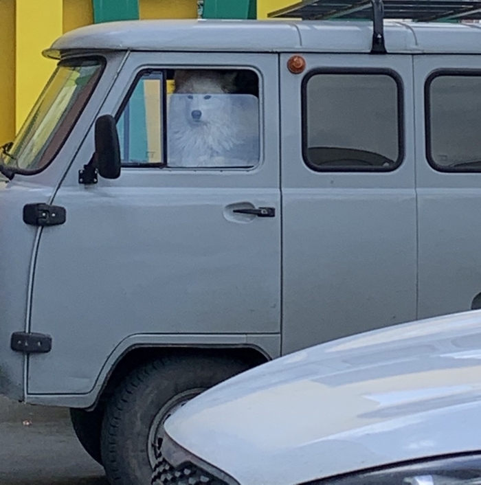 ������, �������