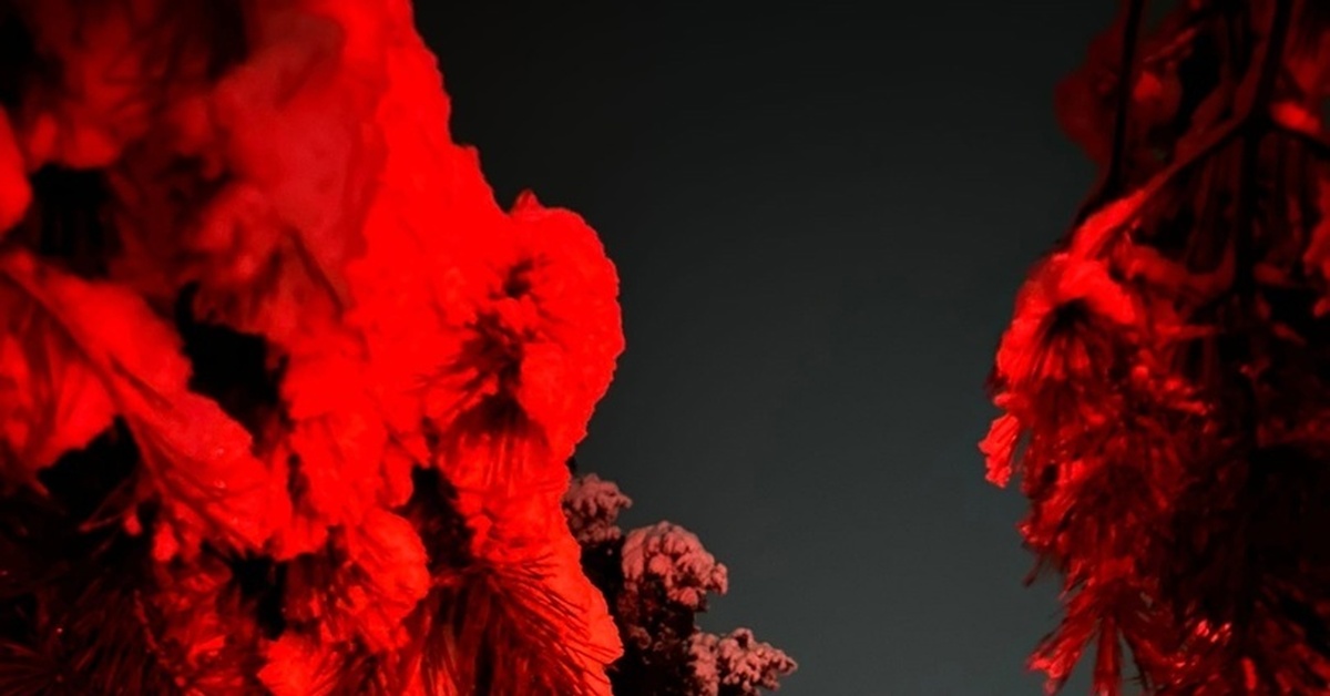 Сладкая ложь | Пикабу