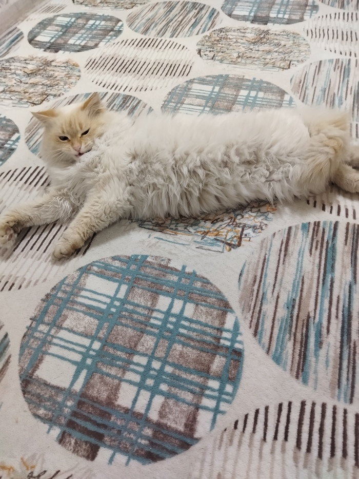 ����� ������