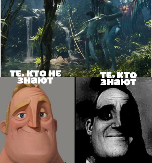 ������: ���� ����