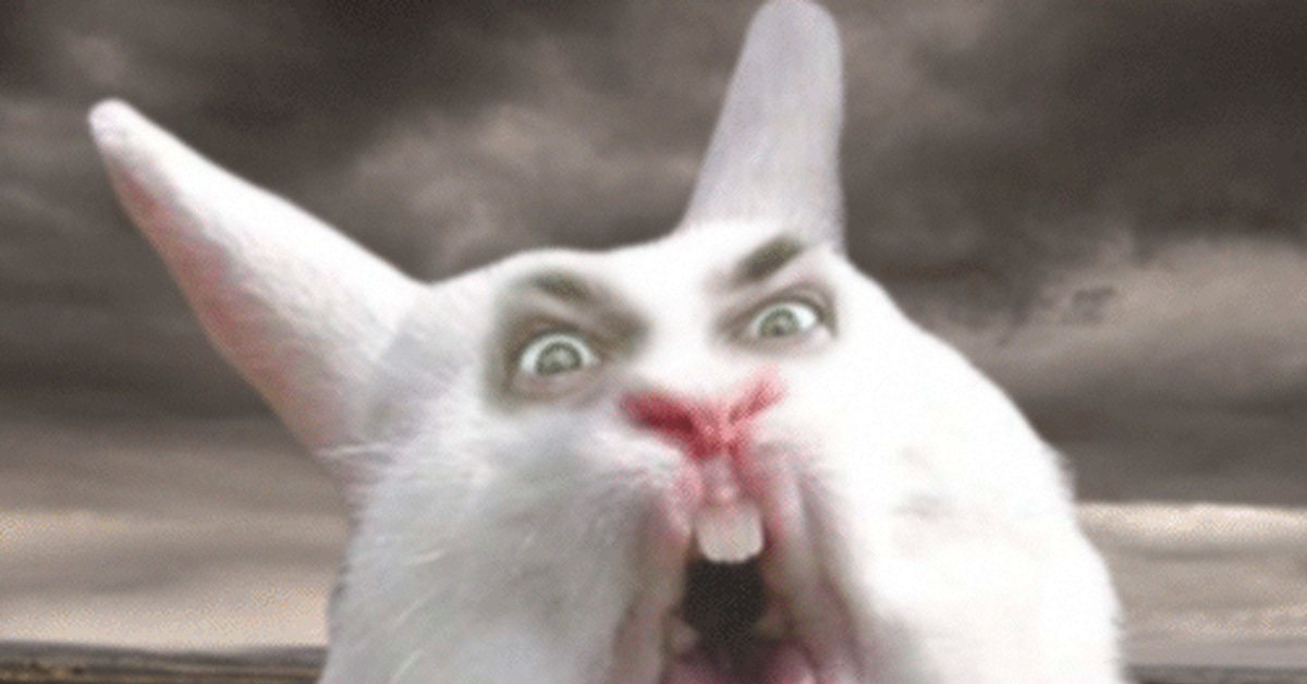 Видео где кролик. Заяц с открытым ртом. Кричащий заяц.