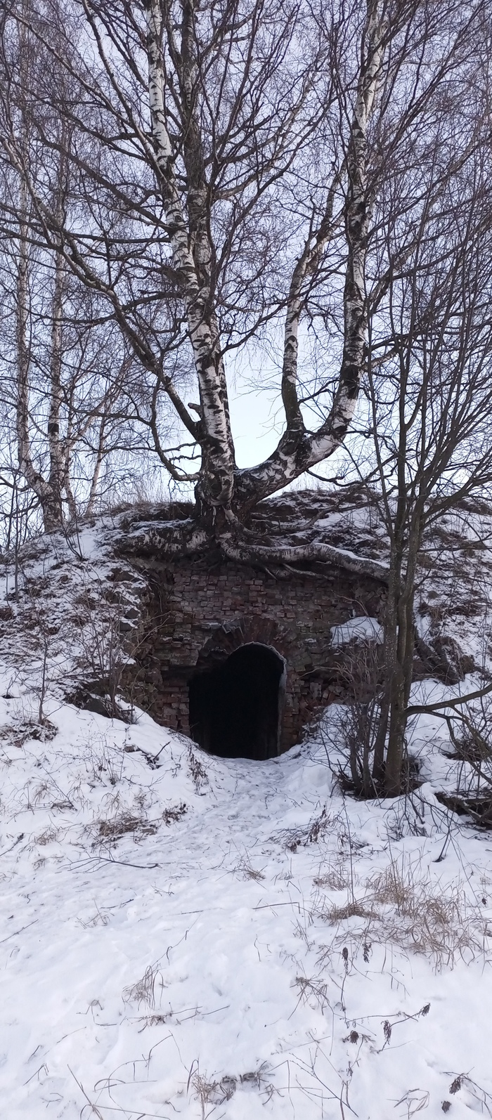 ������ ����