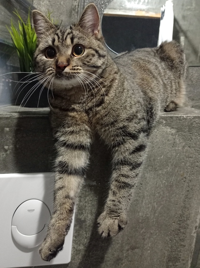 ������������