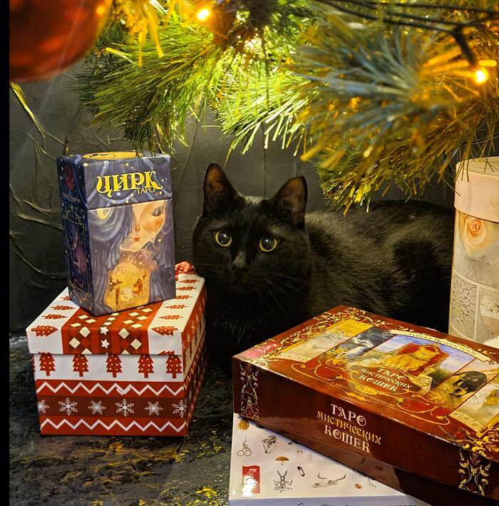 ������� ���������