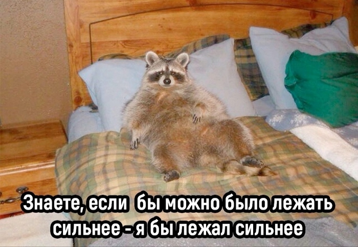 Ответ на пост «О курьёзах во время секса»