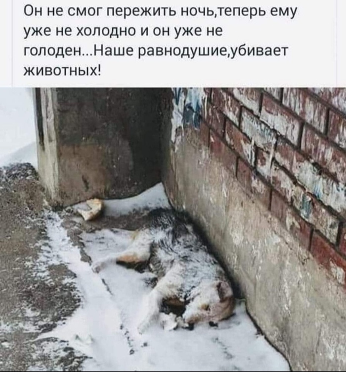 ��� �������� � ������� ����� �. ������