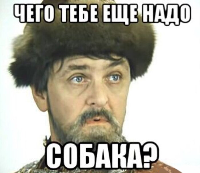 Ответ на пост «Жадность фраера сгубила»