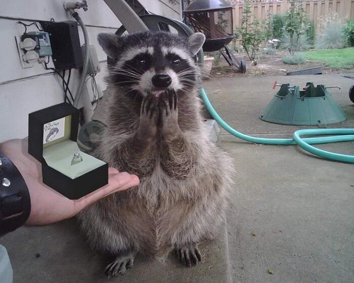 � ��������!