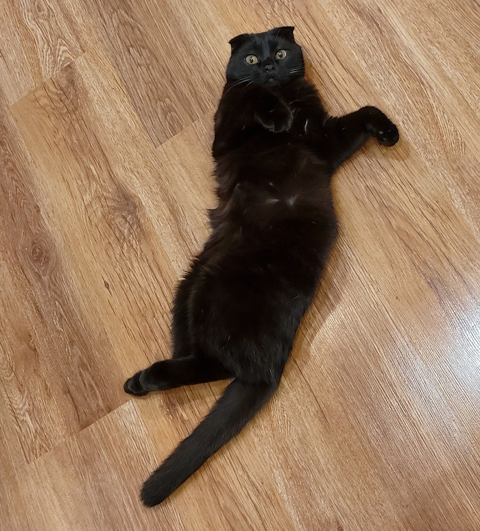 ��� ���������� �����