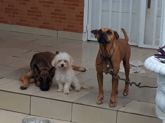 Вместе мы банда!