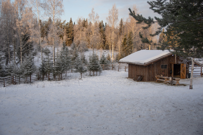 Вокруг Ладоги за 3 дня Путешествия, Туризм, Карелия, Длиннопост
