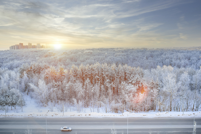 �������� ����