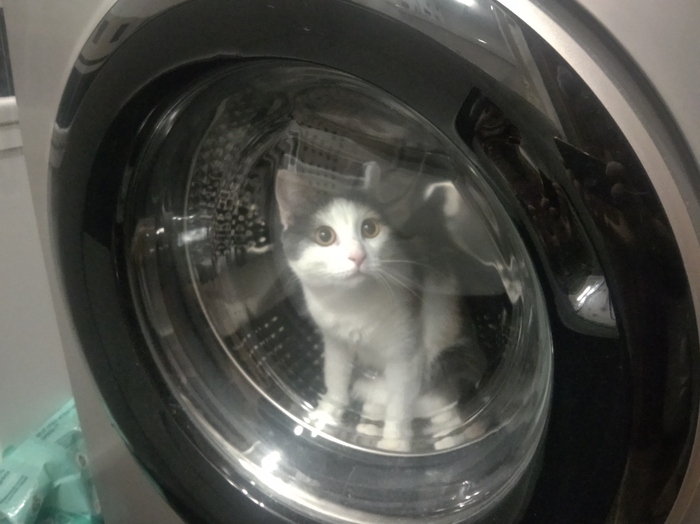 И можно планировать ремонт в коридоре...