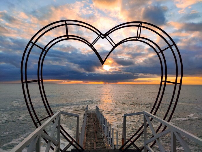 ������ ����