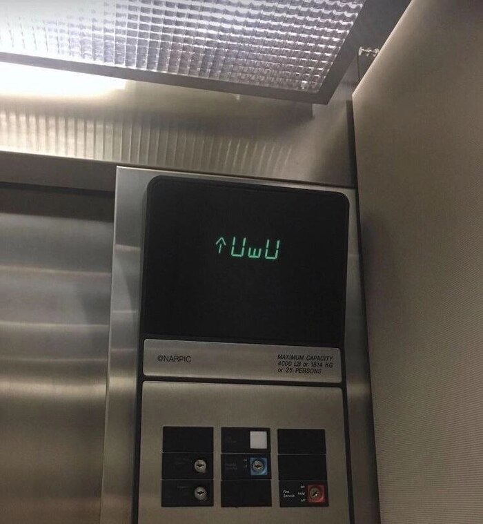   , 