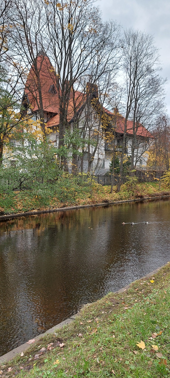 Петербургская 