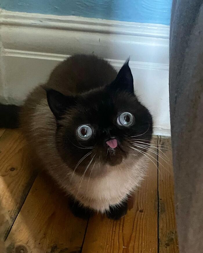   , ,  
