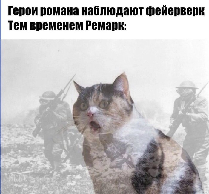      , ,   , 