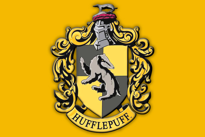Роль факультетов Хогвартса в общем лоре "Гарри Поттера" и "Фантастических тварей" Гарри Поттер, Фантастические твари и где они обитают, Хогвартс, Гриффиндор, Слизерин, Пуффендуй, Когтевран, Длиннопост