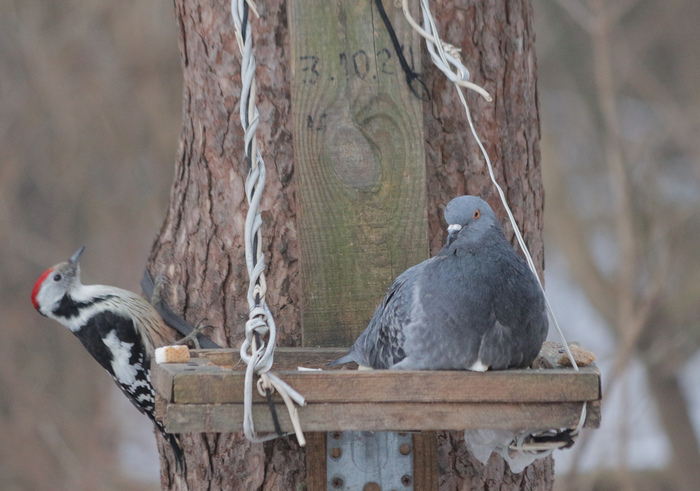 ��� ����� ��������� �� ����