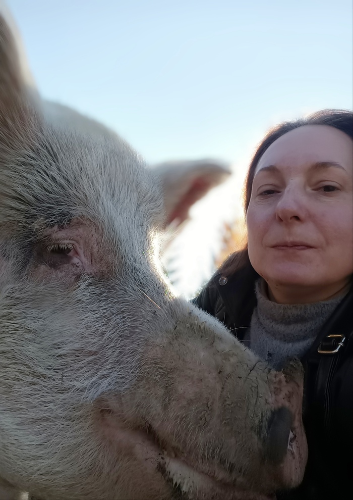 ����� � ���������. ����� �����-�� ���