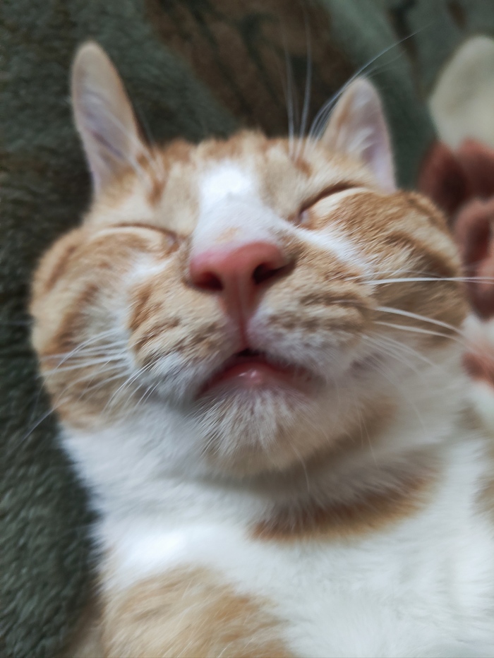 � � ����... �-�-�, ����� ��������