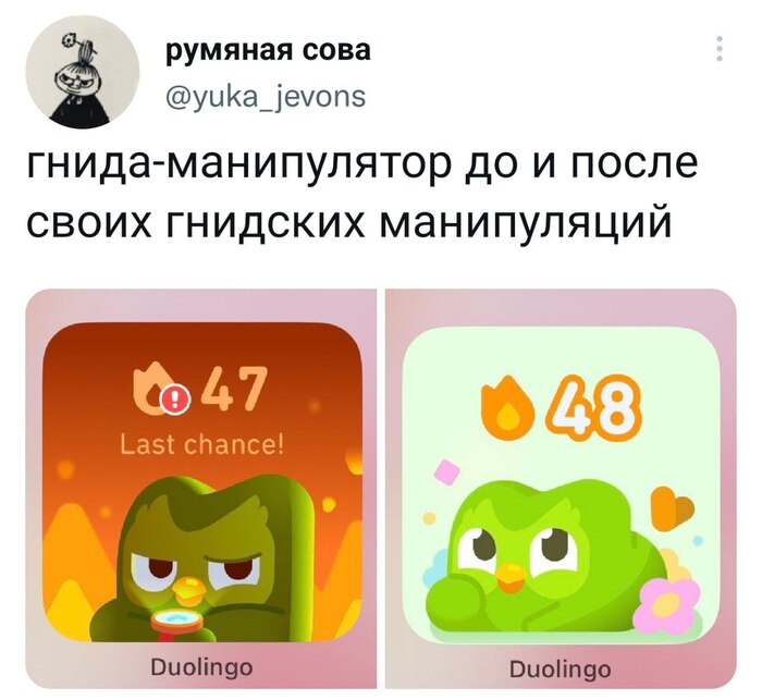 Duolingo , , Twitter, Duolingo, ,  