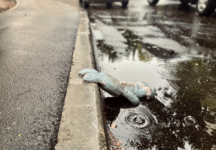 ��������� ����