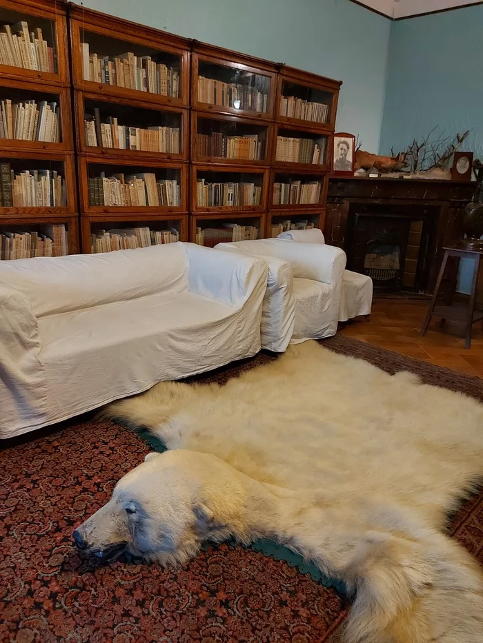 Барская квартира для советской элиты Санкт-Петербург, Музей, Интересные места, Краеведение, Куда пойти, Петроградка, Доходный дом, Квартира, Прогулка по городу, Длиннопост