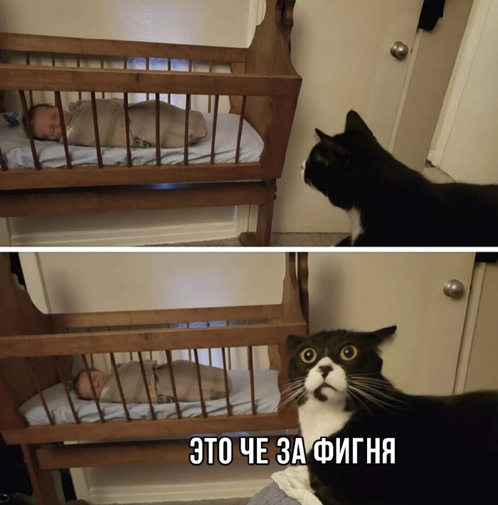   ,       , , , 