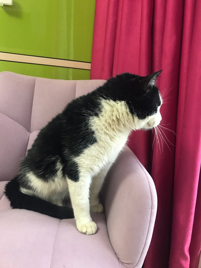 ����������� ����� ��������, ��������� �������. ����� ���� � ��������� ������� ����� �������� � ������� ����� ����� ��� � �������� �������