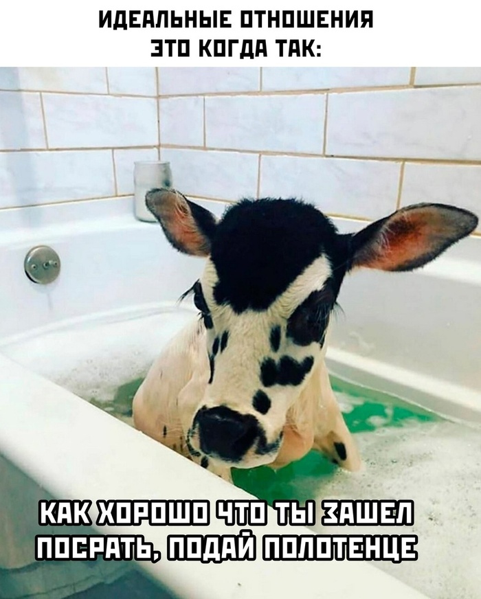 � ������ �� ��������?