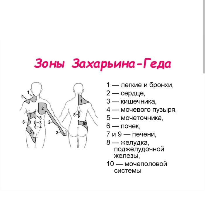 Зоны геда. Зоны кожной гиперестезии Захарьина Геда. Зоны Захарьина-Геда схема. Зоны Захарьина Геда зоны отраженных болей. Кожа зоны Захарьина Геда.